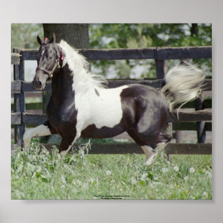 Poster Nite de la renommée