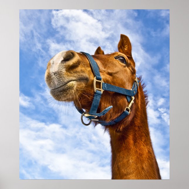 Poster no ride today (Devant)