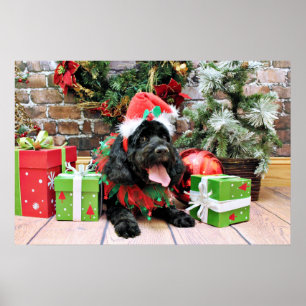 Poster Noël - Cockapoo - Jack