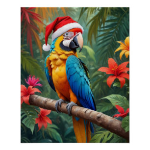 Poster Noël Macaw Portant Un Chapeau De Père Noël-56483