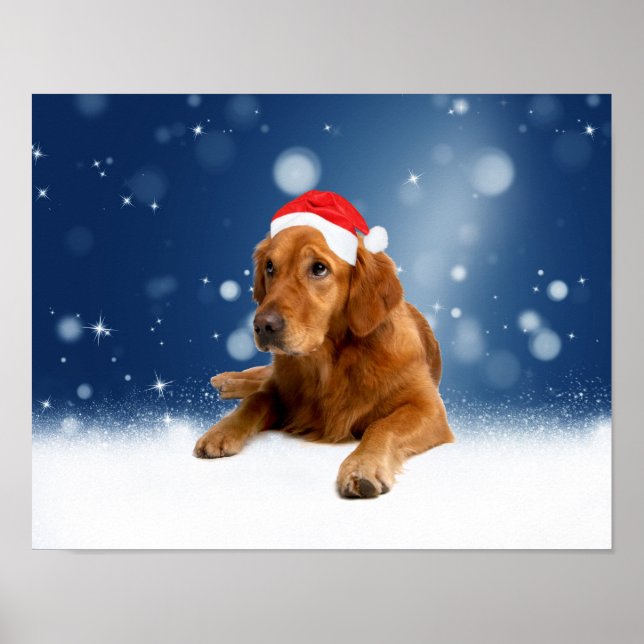 Poster Noël Mignonne Golden Retriever Chien Santa Hat Nei (Devant)