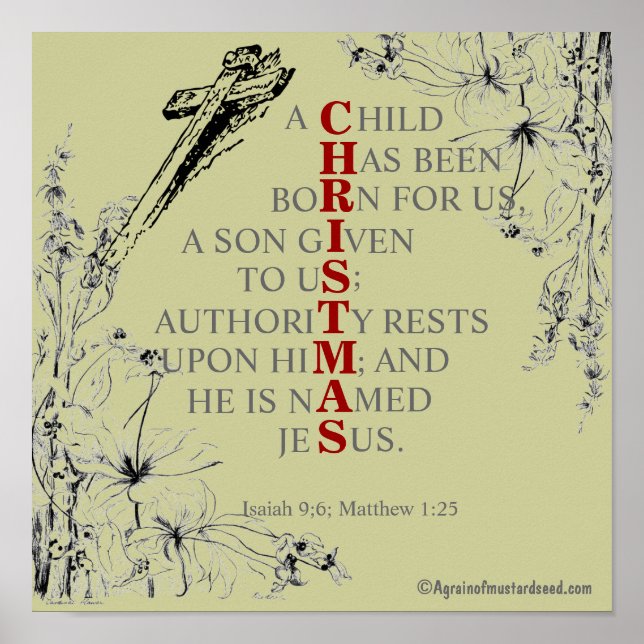 Poster NOËL signifie (Devant)