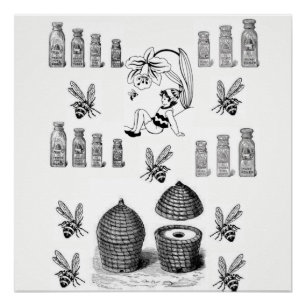 poster noir blanc d'abeille miel
