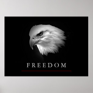 Poster noir blanc de l'aigle de la liberté