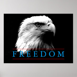 Poster noir blanc Liberté American Eagle