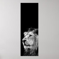 Poster noir blanc Lion Door - Photo d'animaux