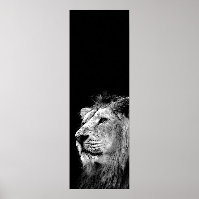 Poster noir blanc Lion Door - Photo d'animaux (Devant)