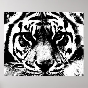 Poster noir blanc Tiger Eyes Imprimer