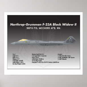 Poster noir de 20x16 Northrop F-23A Widow II