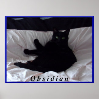 Poster noir de chat "Obsidian"