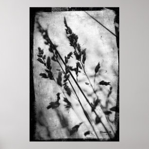 Poster noir et blanc