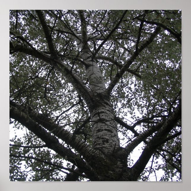 Poster Noir et blanc (Devant)