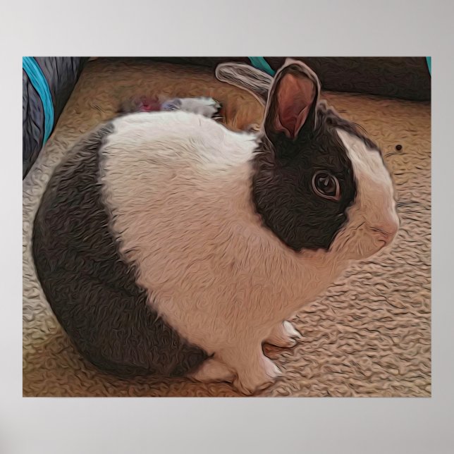 Poster noir et blanc Bunny (Devant)