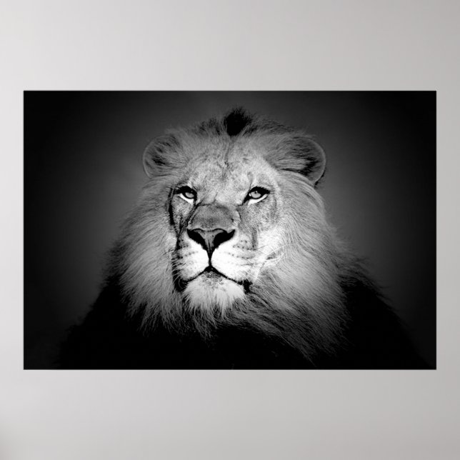 Poster noir et blanc Lion Imprimer (Devant)