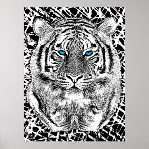 Poster Noir et Bleu Yeux Design Tiger