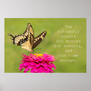 Poster Nombre de papillons