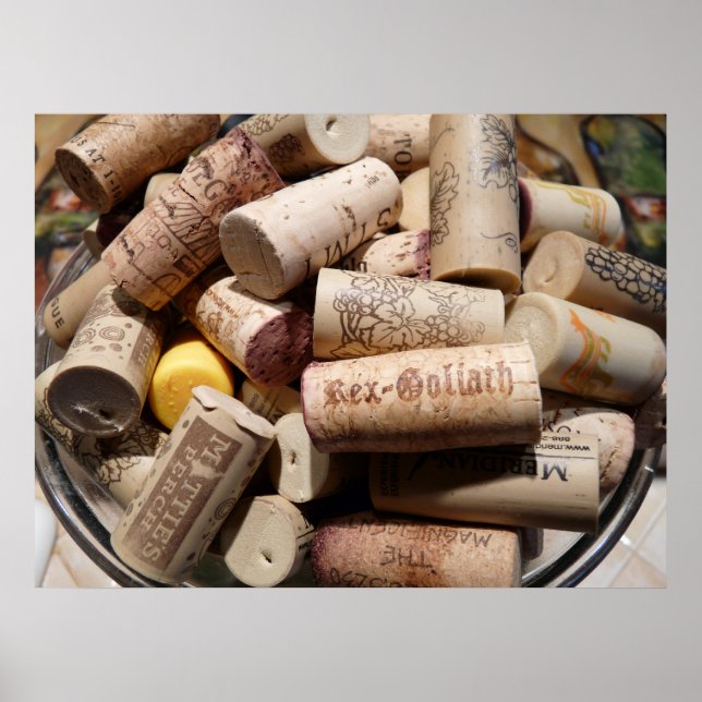 Poster Non verrouillé (Devant)