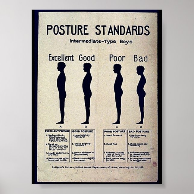 Poster Normes de posture (Devant)