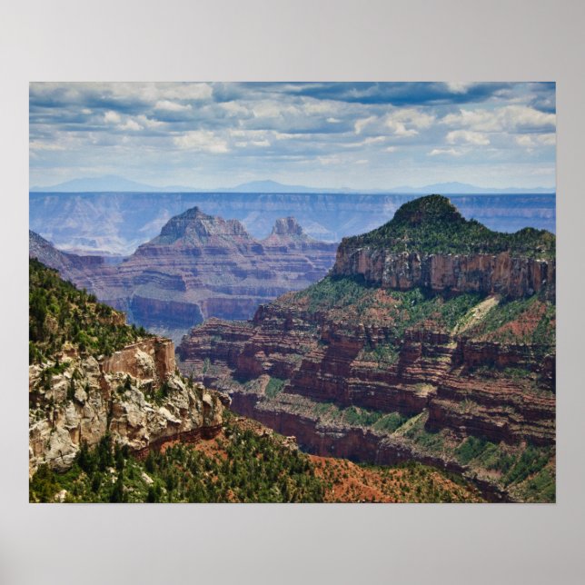 Poster North Rim Gran Canyon - Grand Canyon National (Devant)