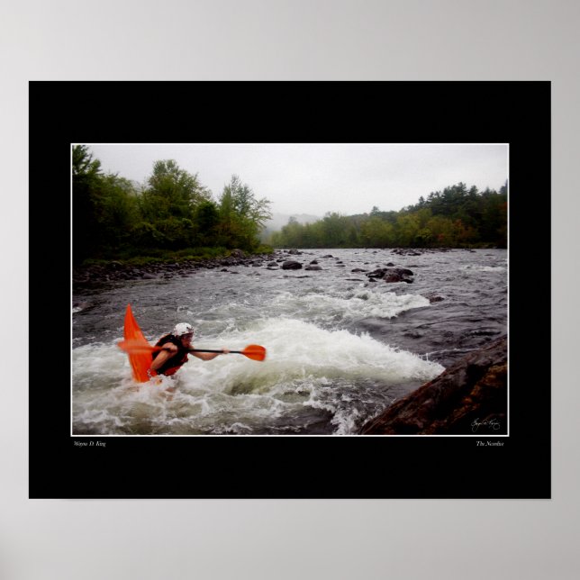 Poster Nosedive (Devant)