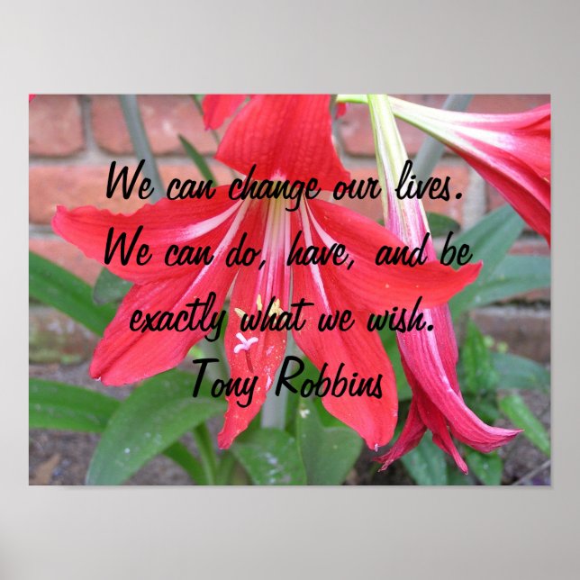 Poster Nous pouvons changer nos vies. (Devant)