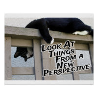 Nouvelle perspective Motivant Cat Photo Art