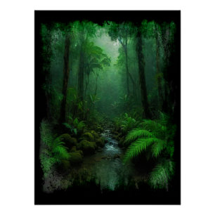 Poster Nouvelle-Zélande Forêt