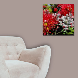 Poster Nouvelle-Zélande Pohutukawa Arbre Rouge Blossom