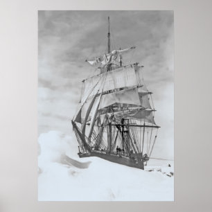 Poster Nova de Terra