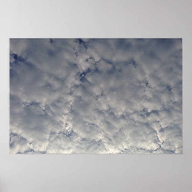 Poster Nuages blancs floffants (Devant)