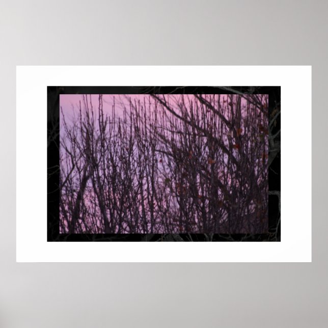 Poster nuit (Devant)