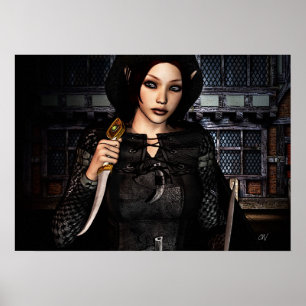 Poster 'Nuit des voleurs'