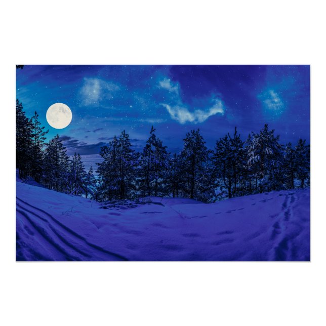Poster Nuit étoilée avec pleine lune en forêt (Devant)