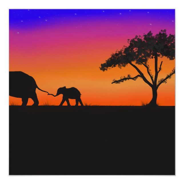 Poster Nuits de la Serengeti (Devant)