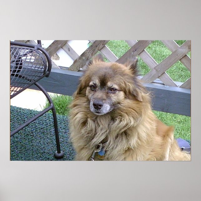 Poster Numéro un fils (Devant)