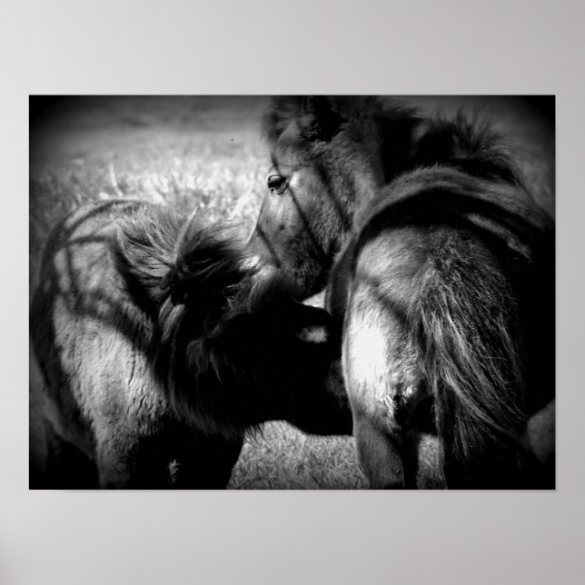 Poster Nursing Filly (Devant)