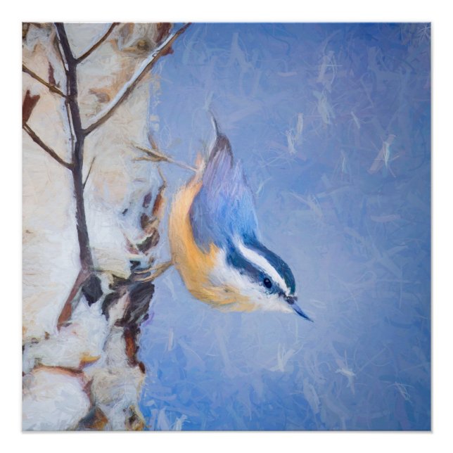 Poster Nuthatch à poitrine rouge Peinture d'art original  (Devant)