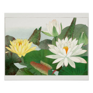 Poster Nymphaea lotus, gravure sur bois japonaise, 1917