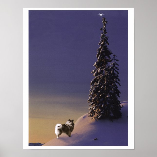 Poster "O Christmas Tree" (Devant)