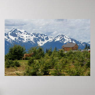 Poster Observer les touristes