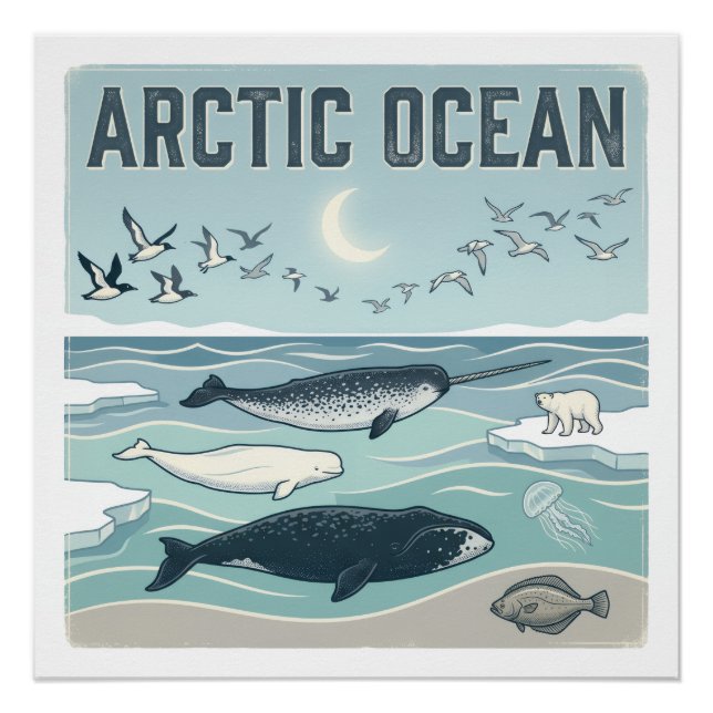 Poster Océan Arctique (Devant)