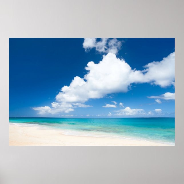 Poster Ocean beach (Devant)