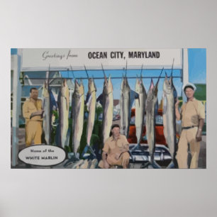 Poster Ocean City, Maryland Maison Du Marlin Blanc, Vin