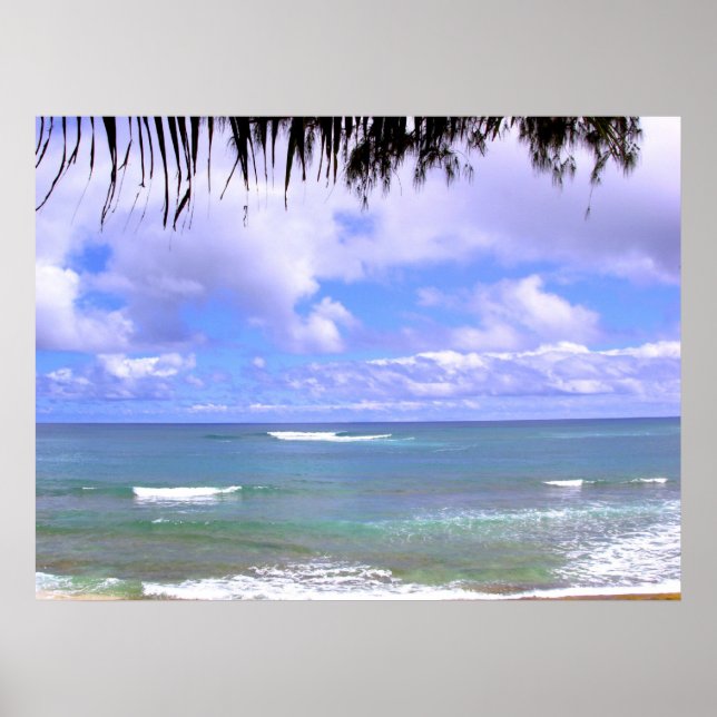 Poster Océan hawaïen (Devant)