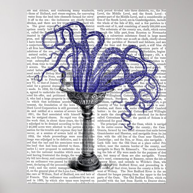 Poster Octopus dans l'évier (Devant)