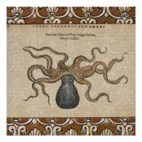 Octopus Kraken Illustration Vintage