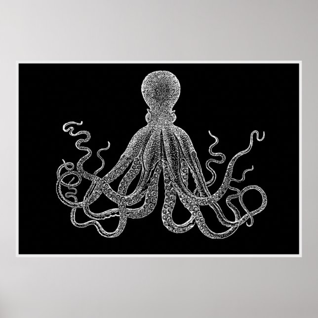 Poster Octopus vintage En Noir Et Blanc (Devant)