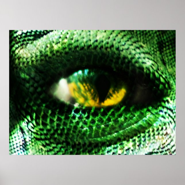 Poster Oeil d'un ... ? (Devant)