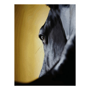 Poster Œuvre d'art Gros Plan de l'Œil de Cheval Majestueu
