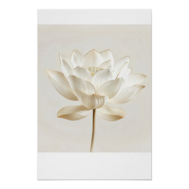 Poster Œuvre d'art murale Lotus Blanc – Édition Sérénité  (Devant)